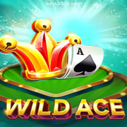 Exploring WildAce: The Leading Casino Game on Win2023 Platform-Online Slots Brasil #1